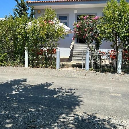 Guest House Andersoni Dhoma Plazhi Andersoni Shen Ded Gjoni Exteriör bild